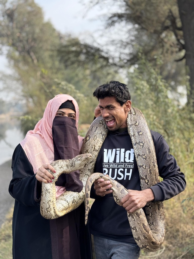 The Couple